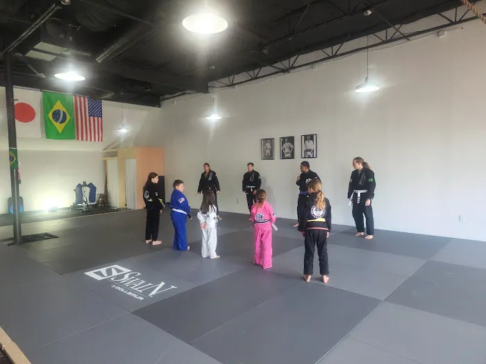 Academy of Champions Jiu Jitsu in Dallas Picture 10