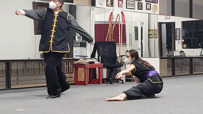 Lee's White Leopard Kung-Fu Picture 1