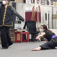 Lee's White Leopard Kung-Fu ico