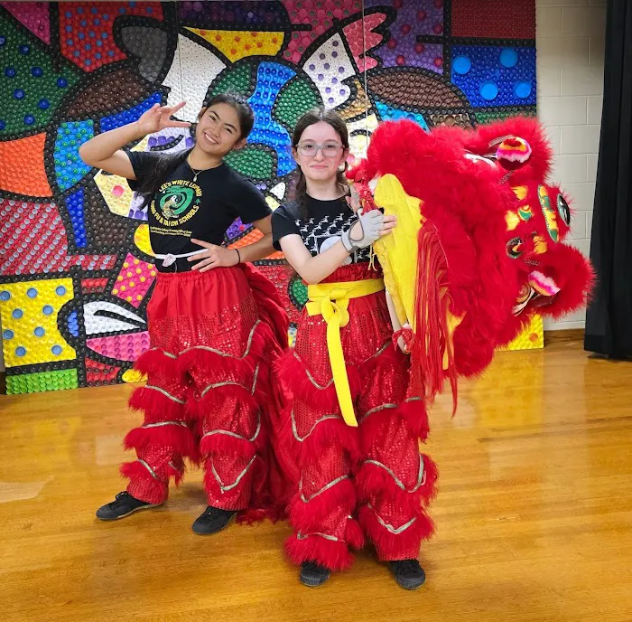 Lee's White Leopard Kung-Fu Picture 5