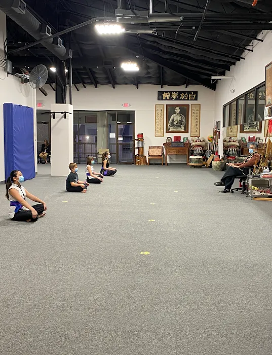 Lee's White Leopard Kung-Fu Picture 10