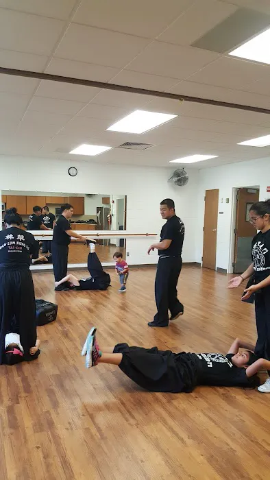 Wahlum Kungfu & Taichi of Dallas Picture 1