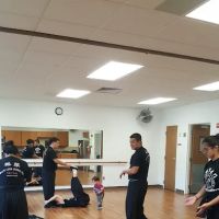 Wahlum Kungfu & Taichi of Dallas ico