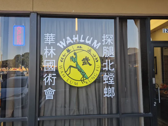 Wahlum Kungfu & Taichi of Dallas Picture 7