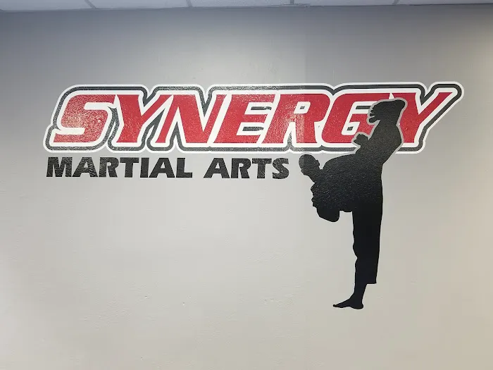 Synergy Martial Arts Picture 4