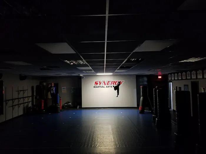 Synergy Martial Arts Picture 1