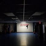 Synergy Martial Arts