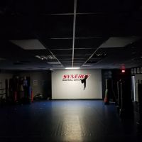 Synergy Martial Arts ico