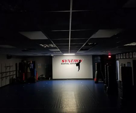 Synergy Martial Arts
