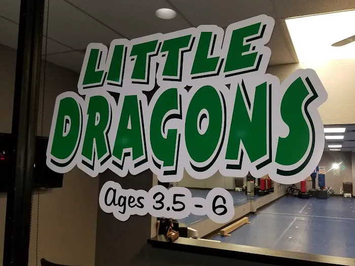 Synergy Martial Arts Picture 6