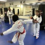 Ahn's Tae Kwon Do
