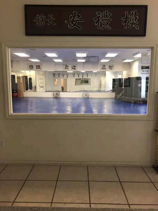 Ahn's Tae Kwon Do Picture 5