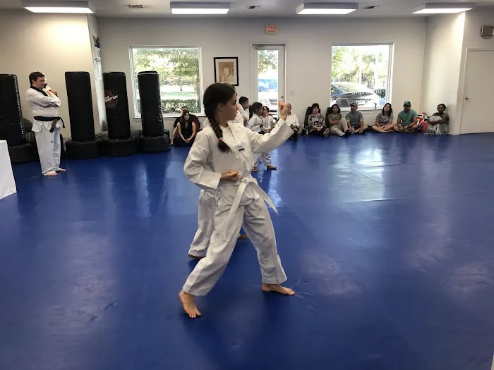 Ahn's Tae Kwon Do Picture 8