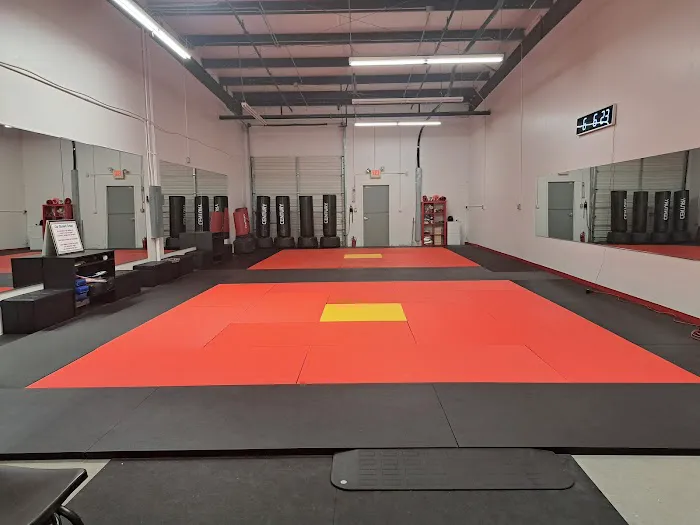 TBG Martial Arts Picture 4