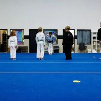 Young Fu: Martial Arts Fit for Kids ico