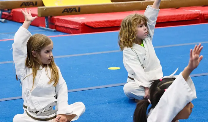 Young Fu: Martial Arts Fit for Kids Picture 3