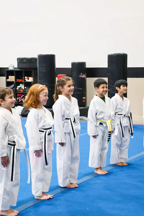 Young Fu: Martial Arts Fit for Kids Picture 4