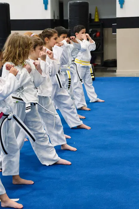 Young Fu: Martial Arts Fit for Kids Picture 9