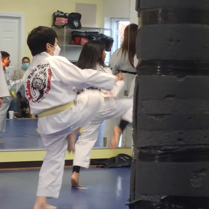 S J Lee's White Tiger Martial Picture 4