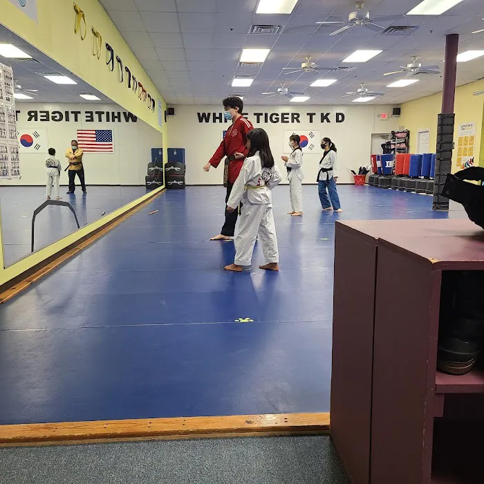 S J Lee's White Tiger Martial Picture 1