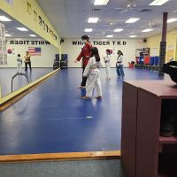 S J Lee's White Tiger Martial ico