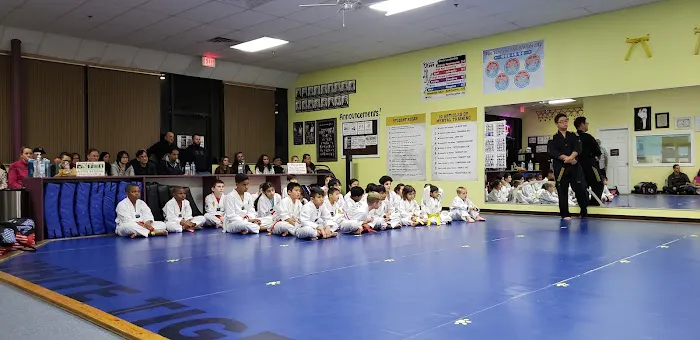 S J Lee's White Tiger Martial Picture 7