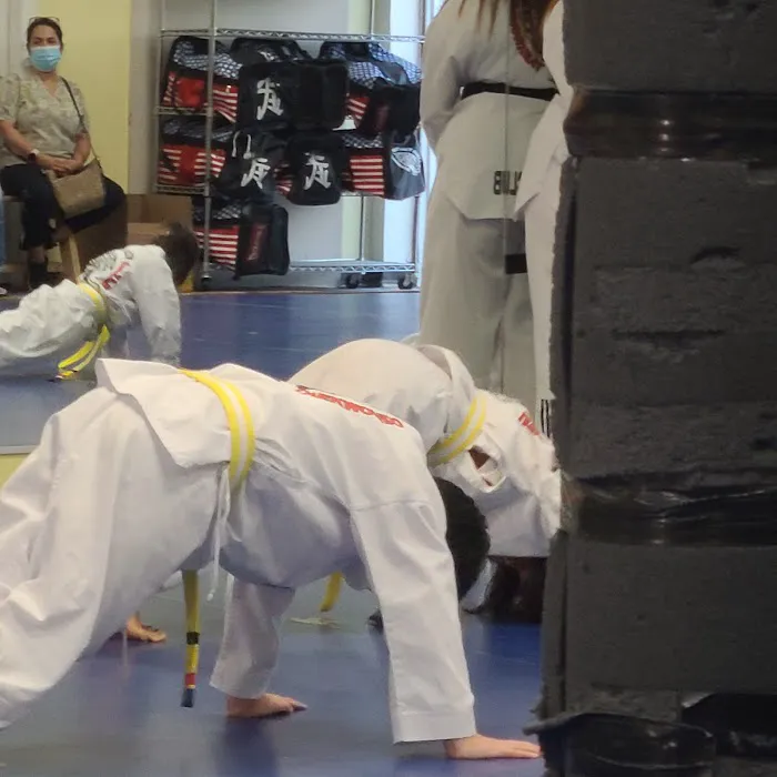 S J Lee's White Tiger Martial Picture 6