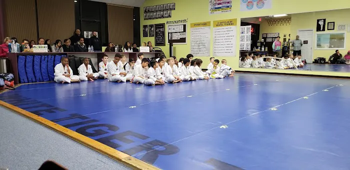 S J Lee's White Tiger Martial Picture 8