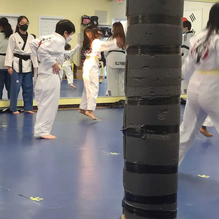 S J Lee's White Tiger Martial Picture 10