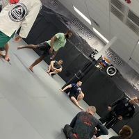 Wolverine Martial Arts ico