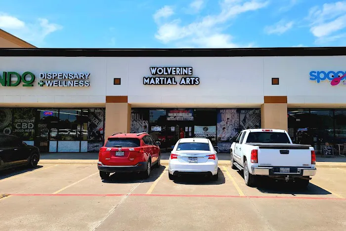 Wolverine Martial Arts Picture 8