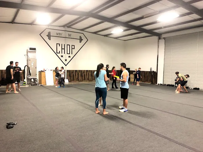 Savage Krav Maga - Aledo Picture 6