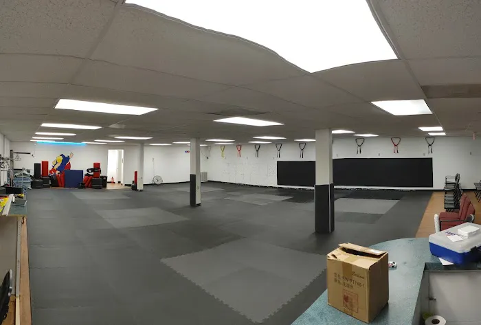 Scott Mahan's Total Karate Picture 6