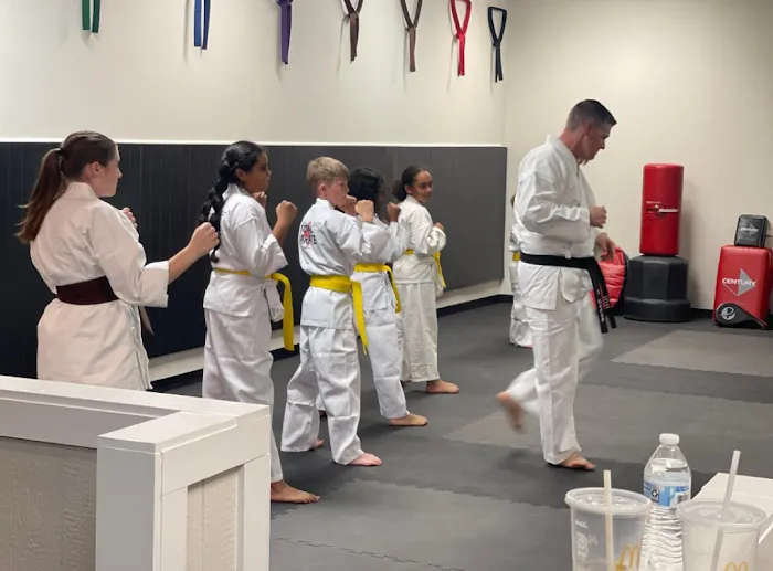 Scott Mahan's Total Karate Picture 7