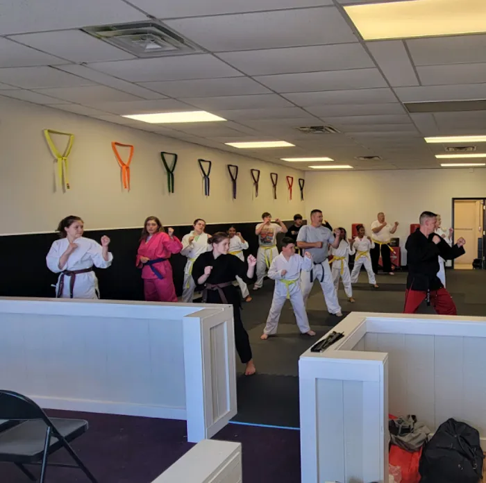 Scott Mahan's Total Karate Picture 10