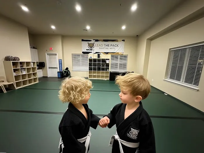 Lead The Pack Martial Arts Picture 2