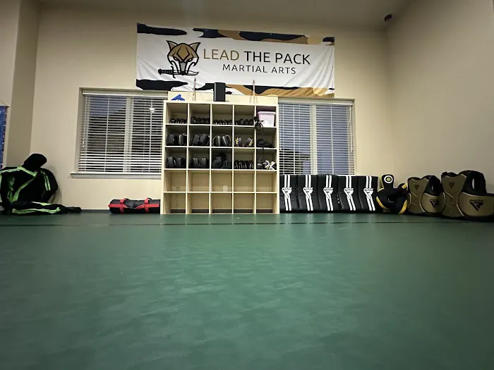Lead The Pack Martial Arts Picture 8