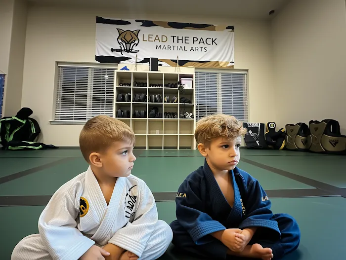 Lead The Pack Martial Arts Picture 10