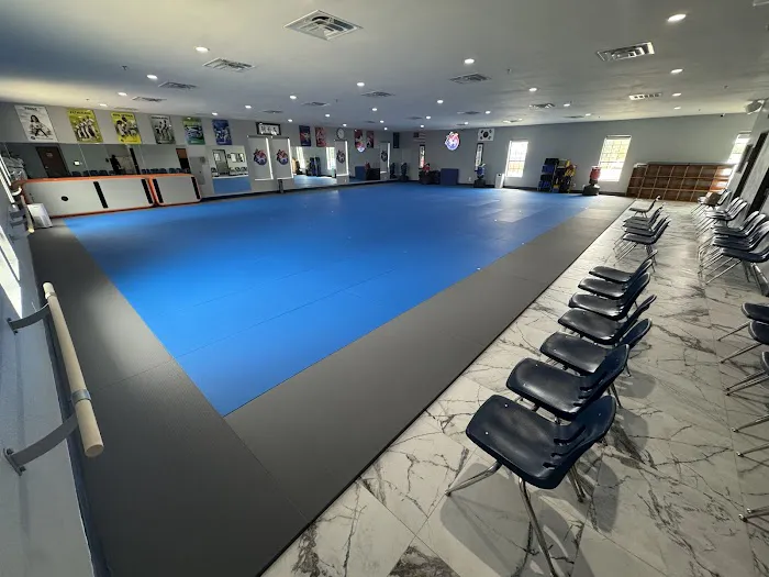 MASTER CHOI’S WORLD CLASS TAEKWONDO Picture 4