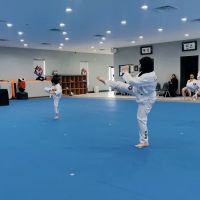 MASTER CHOI’S WORLD CLASS TAEKWONDO ico