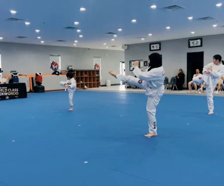 MASTER CHOIu2019S WORLD CLASS TAEKWONDO