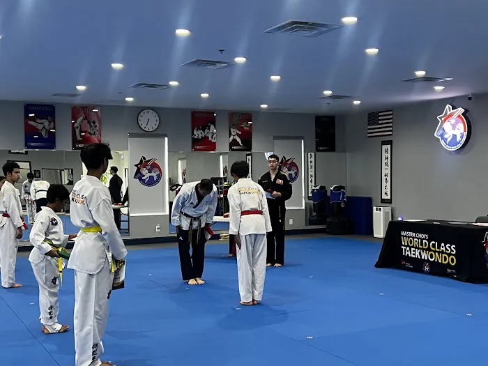 MASTER CHOI’S WORLD CLASS TAEKWONDO Picture 5