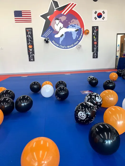 MASTER CHOI’S WORLD CLASS TAEKWONDO Picture 7