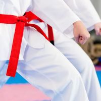 Murphy ATA Martial Arts ico