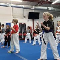 Wylie Karate ico