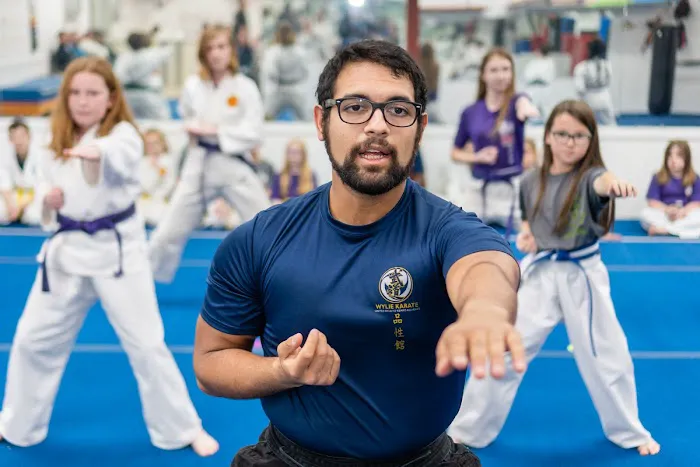 Wylie Karate Picture 6