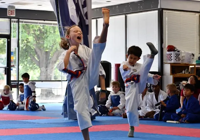 GT Sport Taekwondo Center Picture 2