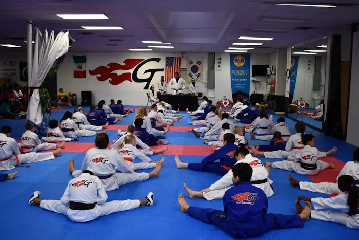GT Sport Taekwondo Center Picture 5