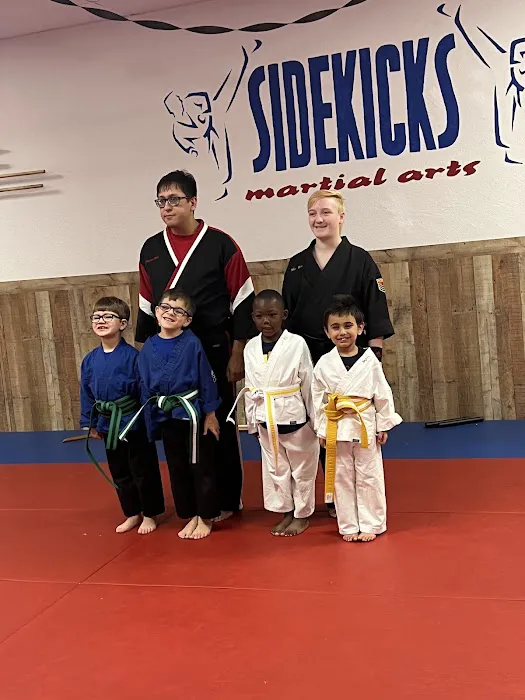 Sidekicks Martial Arts Picture 3