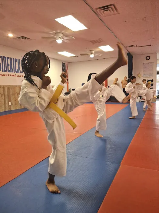 Sidekicks Martial Arts Picture 5